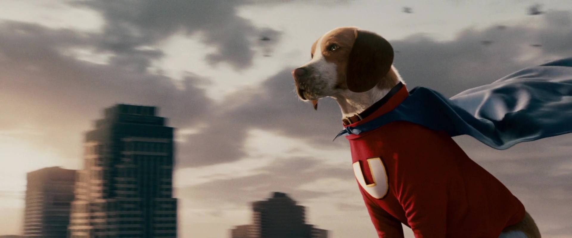image underdog chien volant non identifie