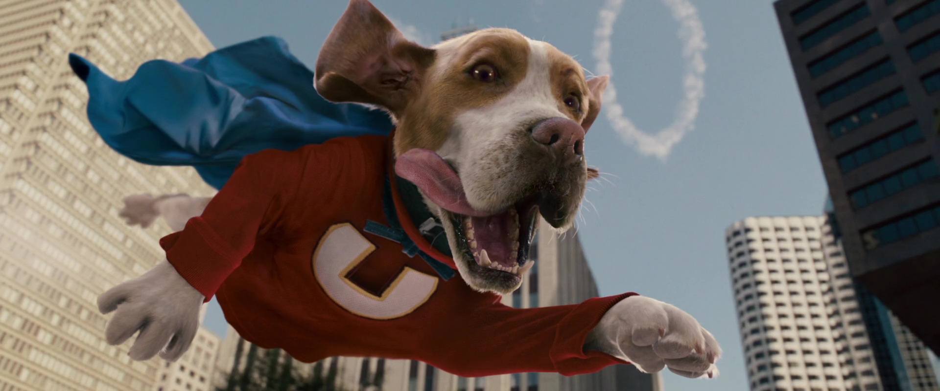 image underdog chien volant non identifie