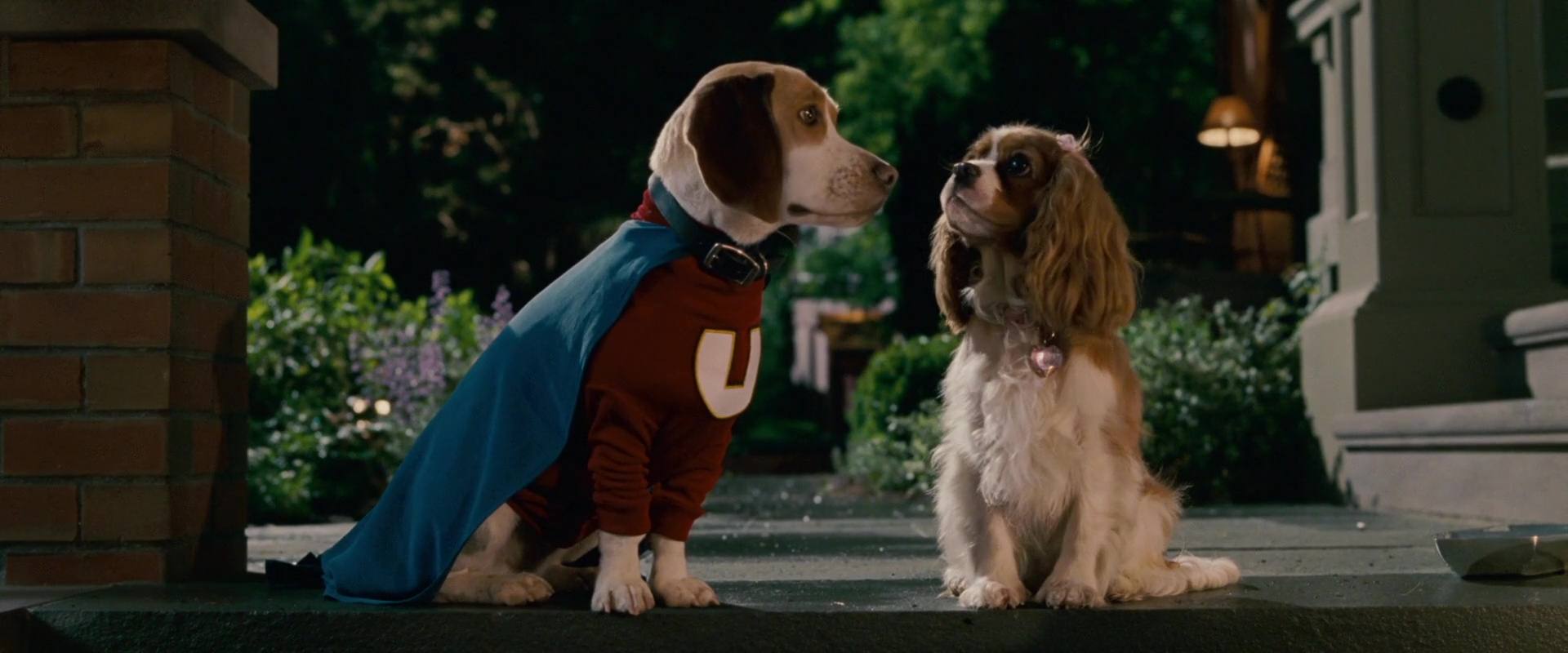 image underdog chien volant non identifie