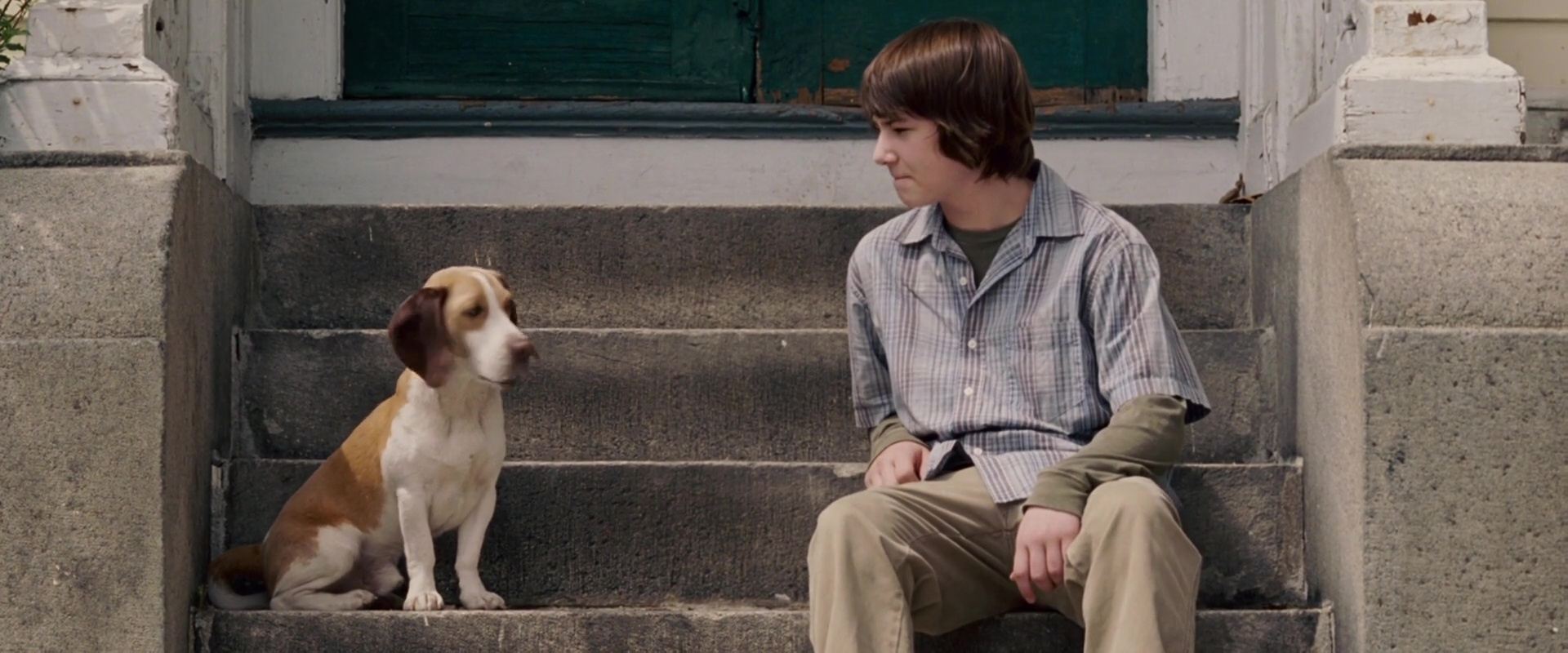 image underdog chien volant non identifie
