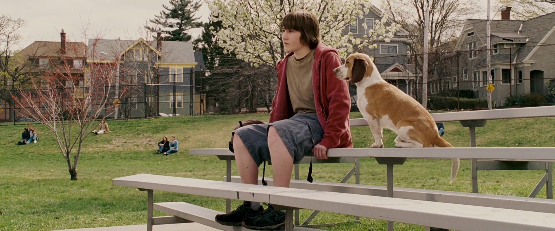 image underdog chien volant non identifie