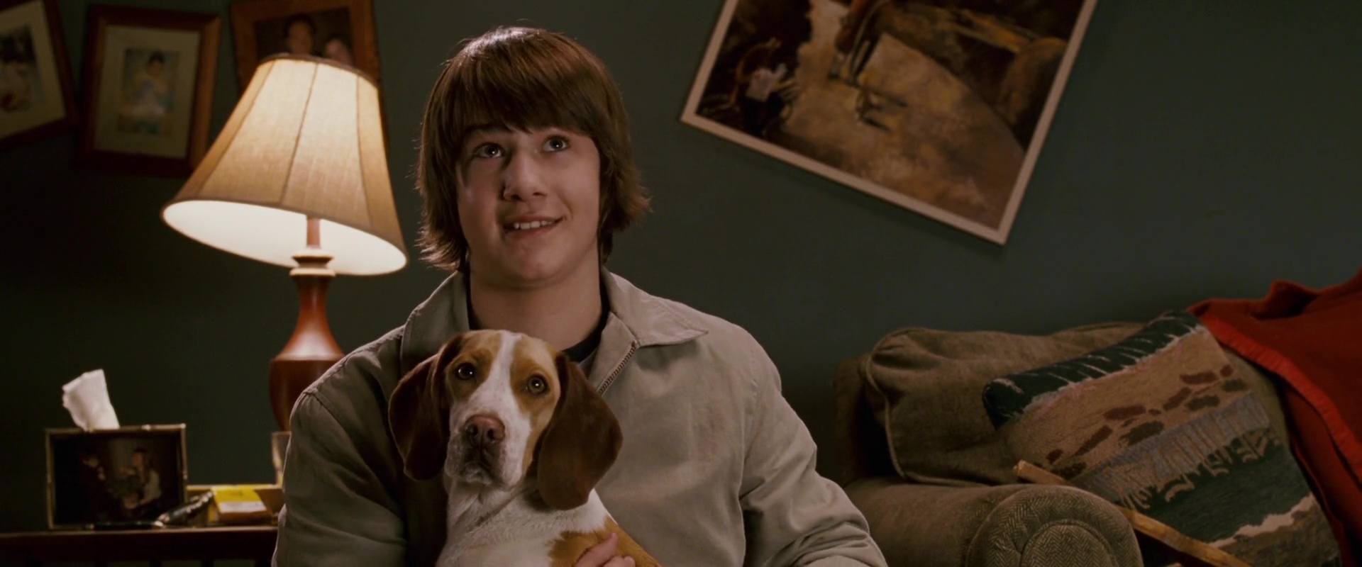image underdog chien volant non identifie