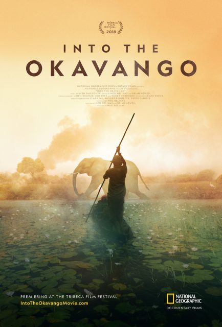 affiche poster coeur into okavango disney nat geo