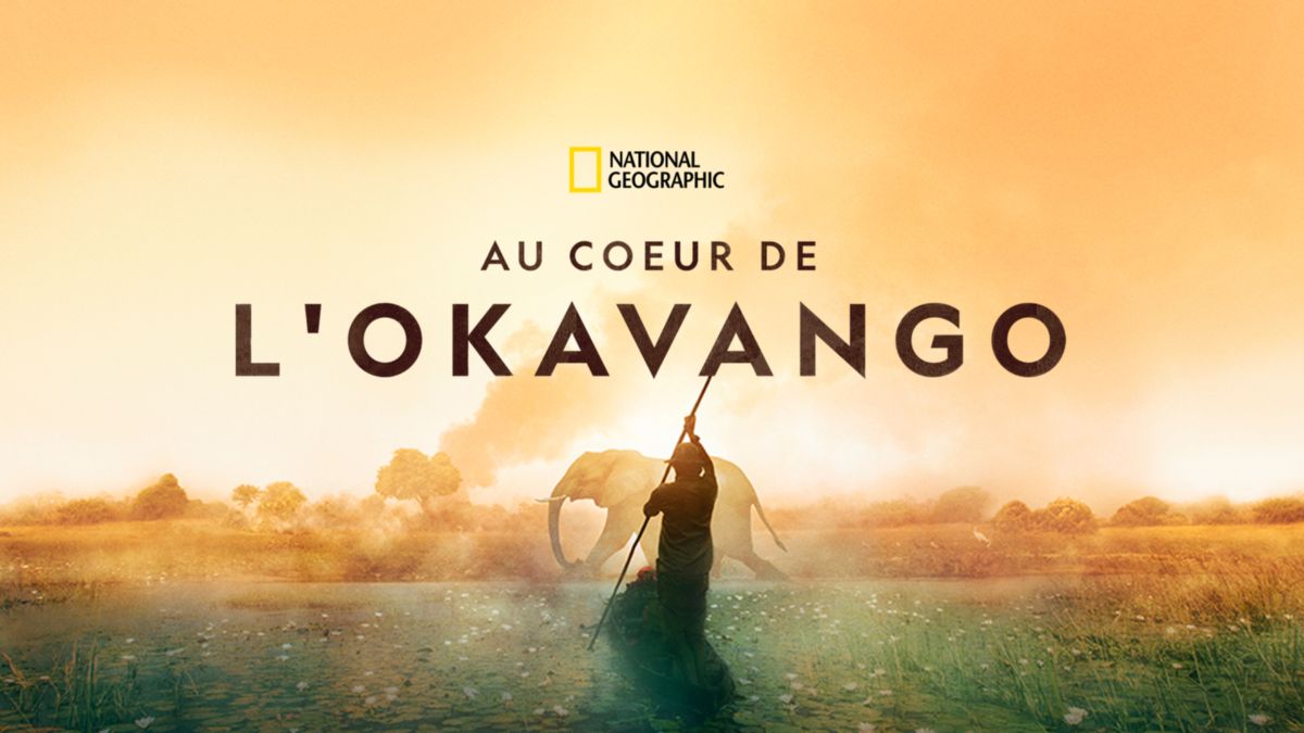affiche poster coeur into okavango disney nat geo