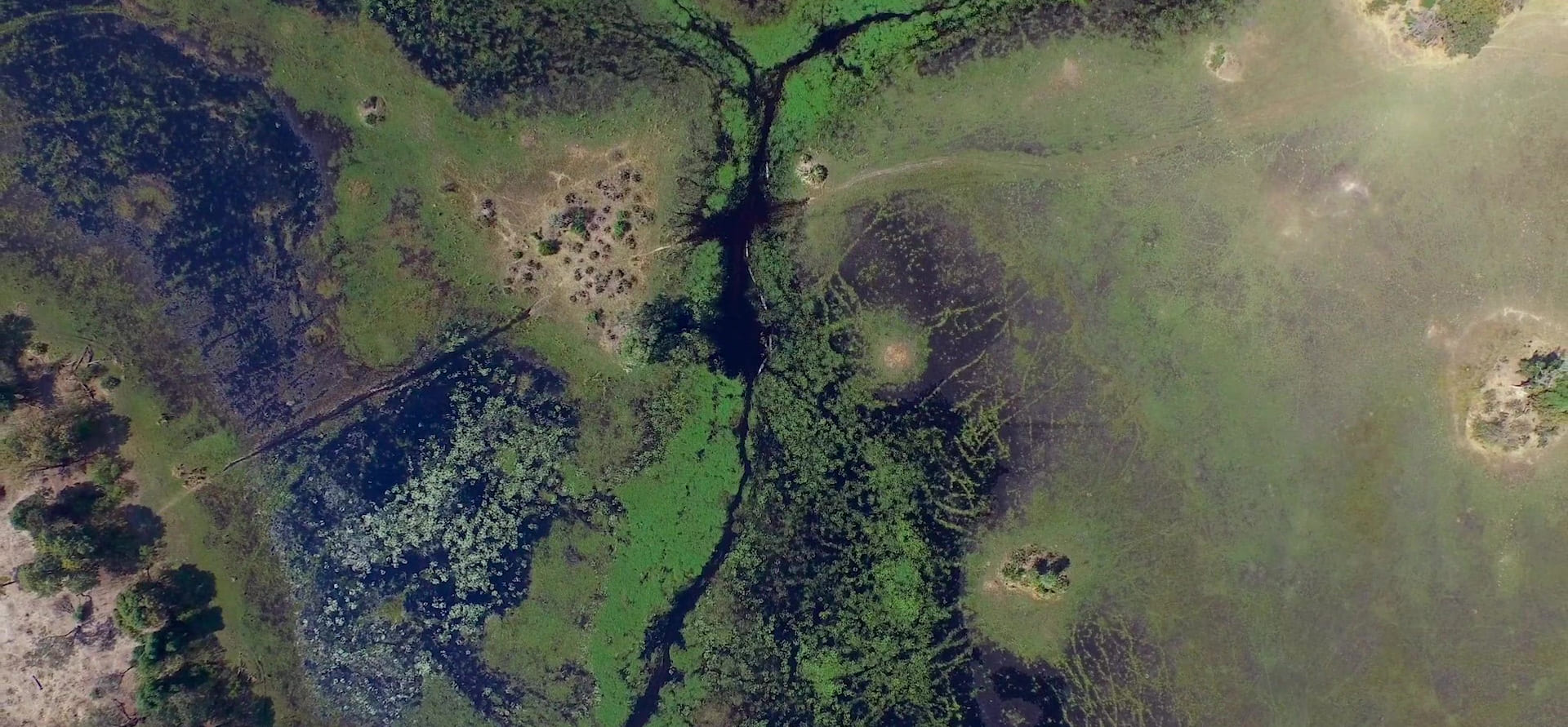image coeur okavango Into nat geo