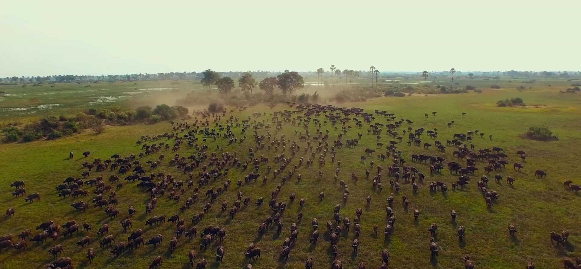 image coeur okavango Into nat geo