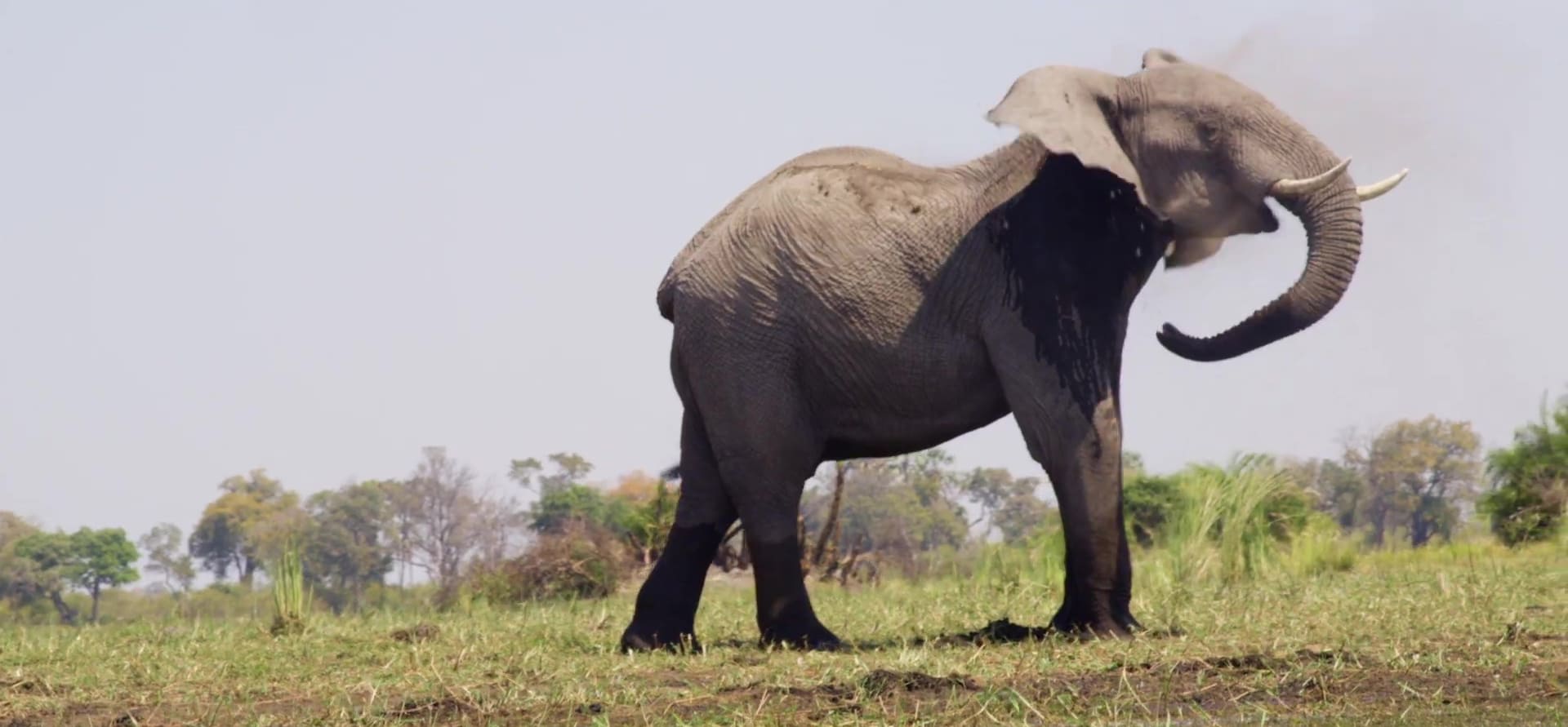 image coeur okavango Into nat geo