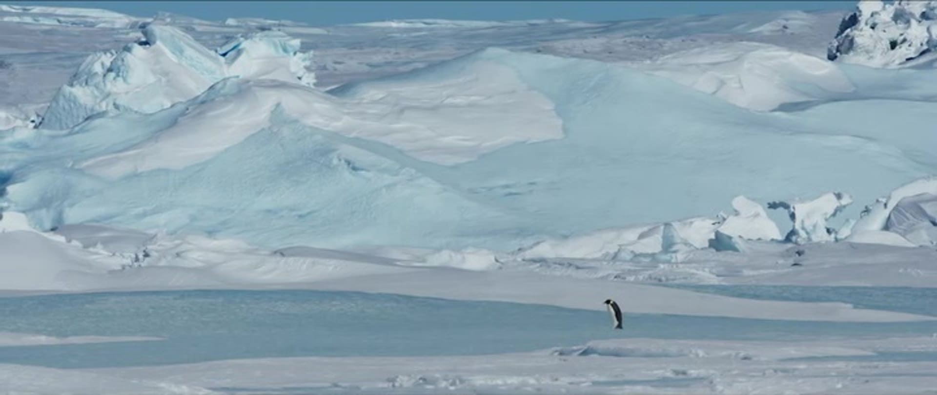 image empereur March of the Penguins 2 Next Step