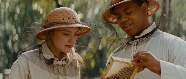 image secret lily owens secret life bee disney fox
