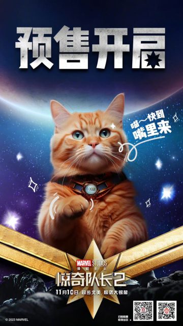 The Marvels - Photos et affiches. 16 affiche poster the marvels