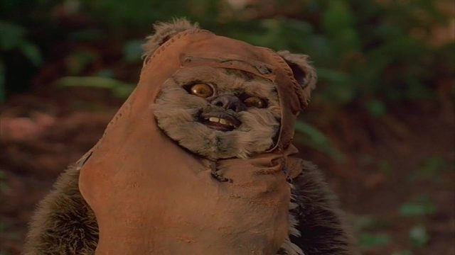 Les aventures des Ewoks : La bataille pour Endor - Photos et affiches. 8 Scène de Star Wars Les aventures des Ewoks : La bataille pour Endor 1985