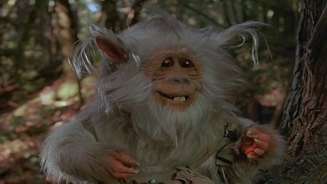 Les aventures des Ewoks : La bataille pour Endor - Photos et affiches. 15 Scène de Star Wars Les aventures des Ewoks : La bataille pour Endor 1985