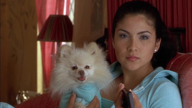 Roselyn Sánchez Sofía Vergara et Jaci Velasquez dans Chasing Papi 2003