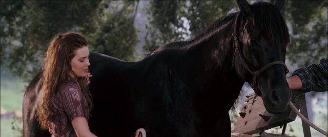 image flicka disney fox