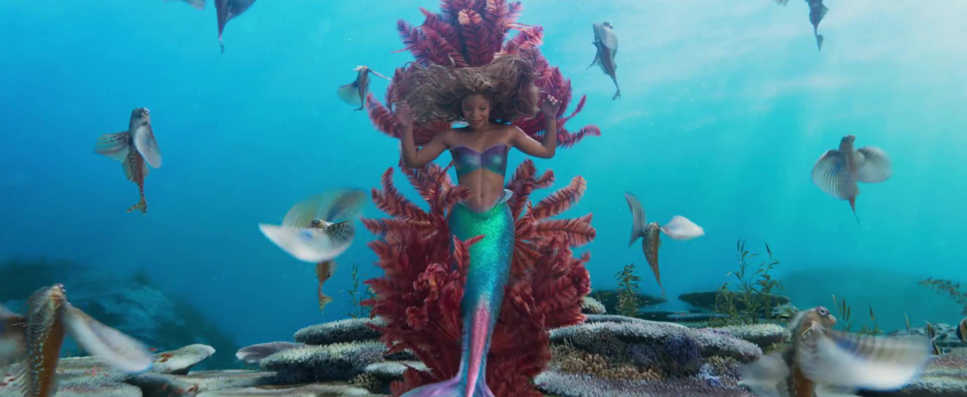 image petite sirene little mermaid film
