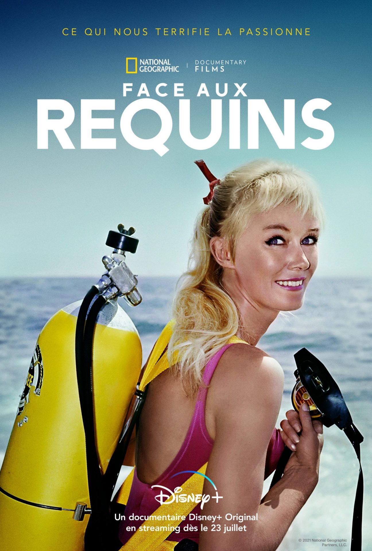 Face aux requins - Photos et affiches. 1 affiche poster face requins play sharks valerie taylor nat geo
