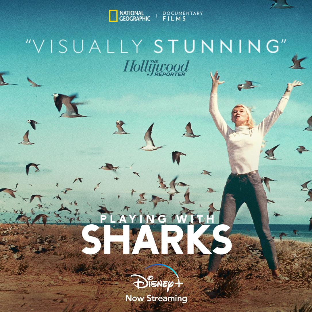 Face aux requins - Photos et affiches. 4 affiche poster face requins play sharks valerie taylor nat geo