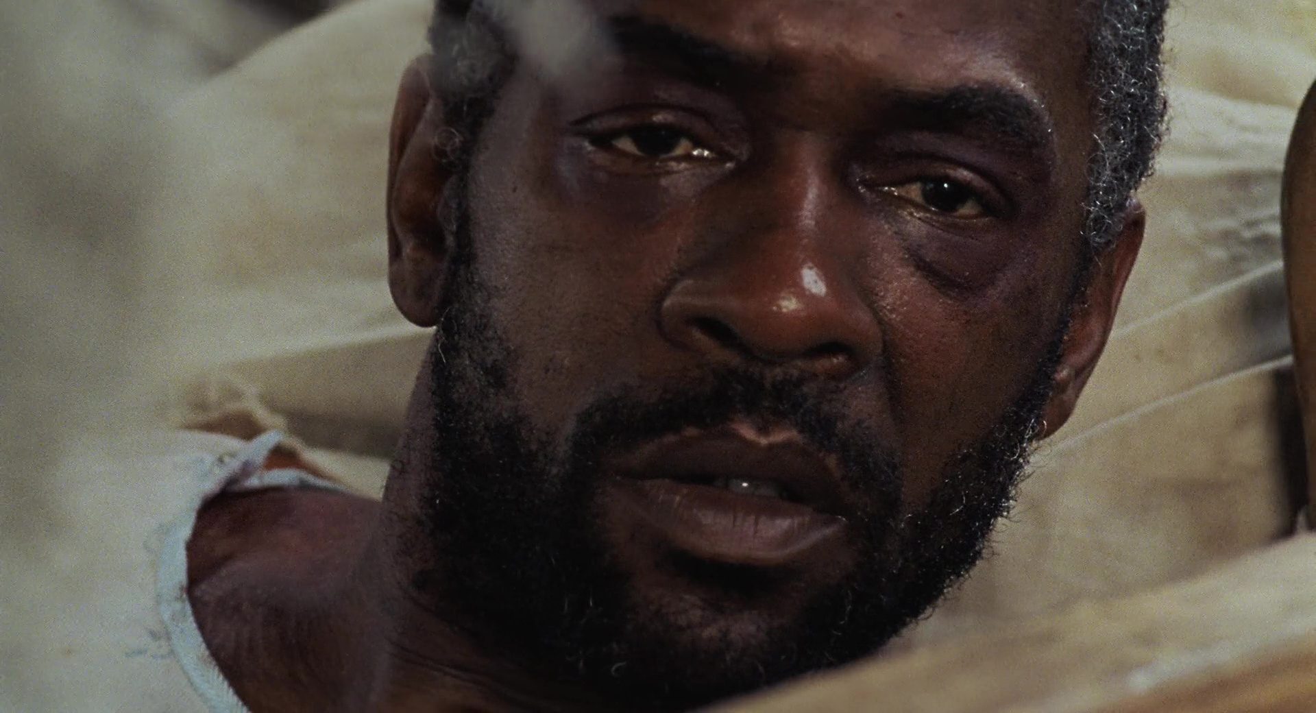 image betes sud sauvage Beasts Southern Wild