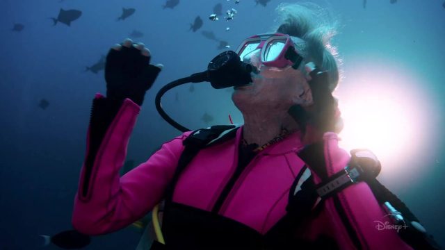Face aux requins - Photos et affiches. 6 image face requins play sharks valerie taylor nat geo
