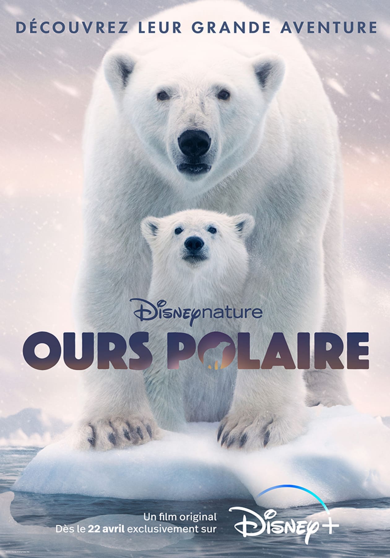 affiche poster ours polaire polar bear disney