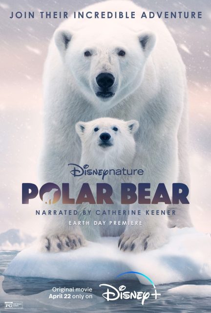 affiche poster ours polaire polar bear disney