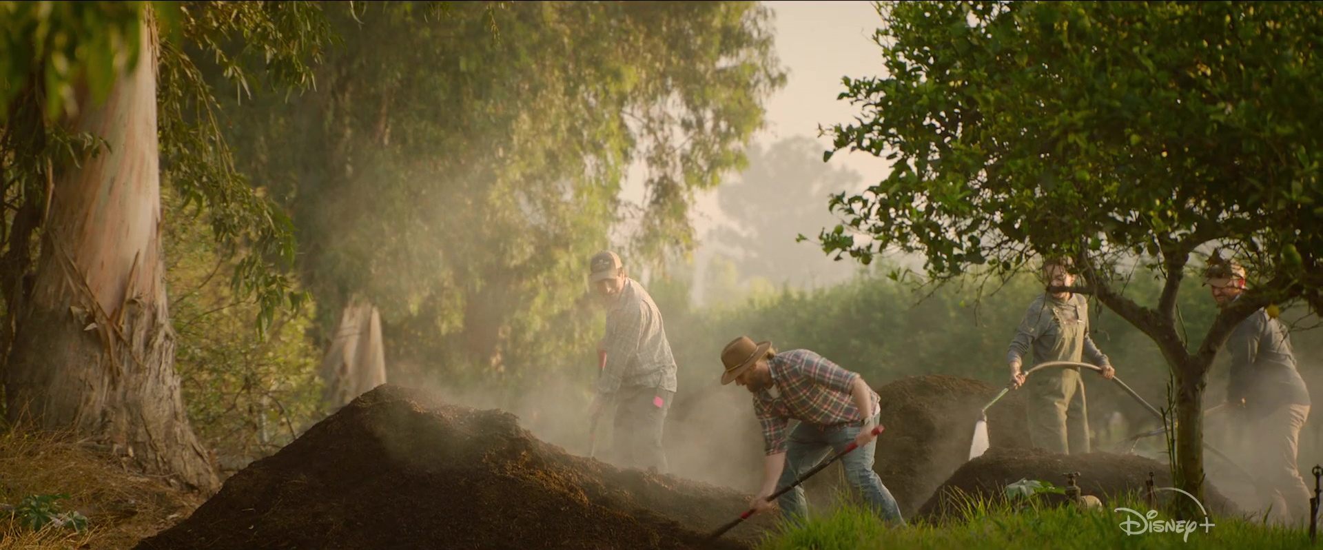 image biggest little farm return tout possible retour nat geo