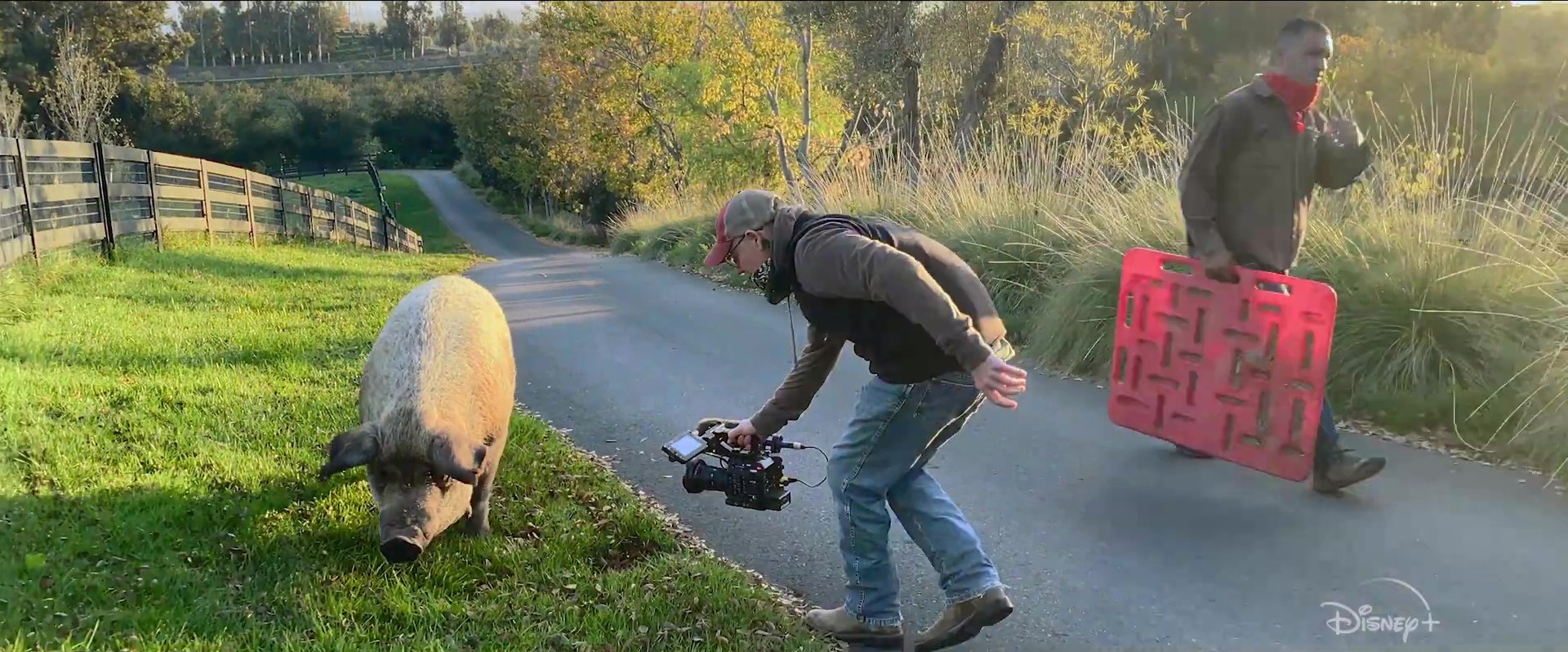 image biggest little farm return tout possible retour nat geo