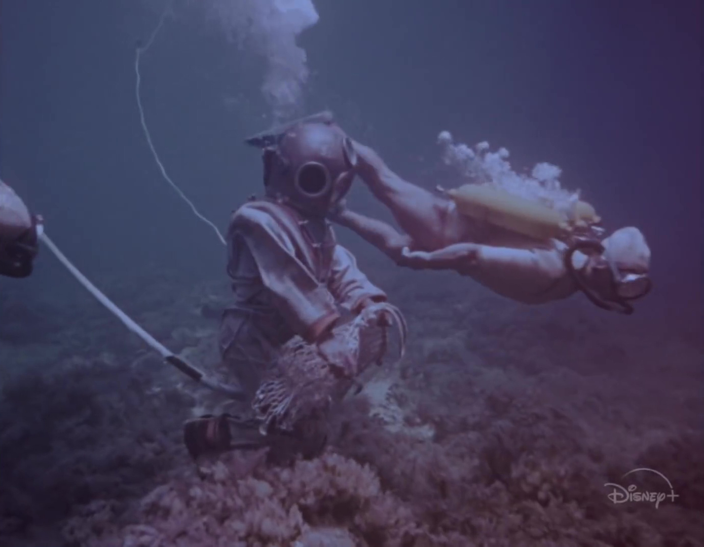 image cousteau becoming homme legende disney nat geo