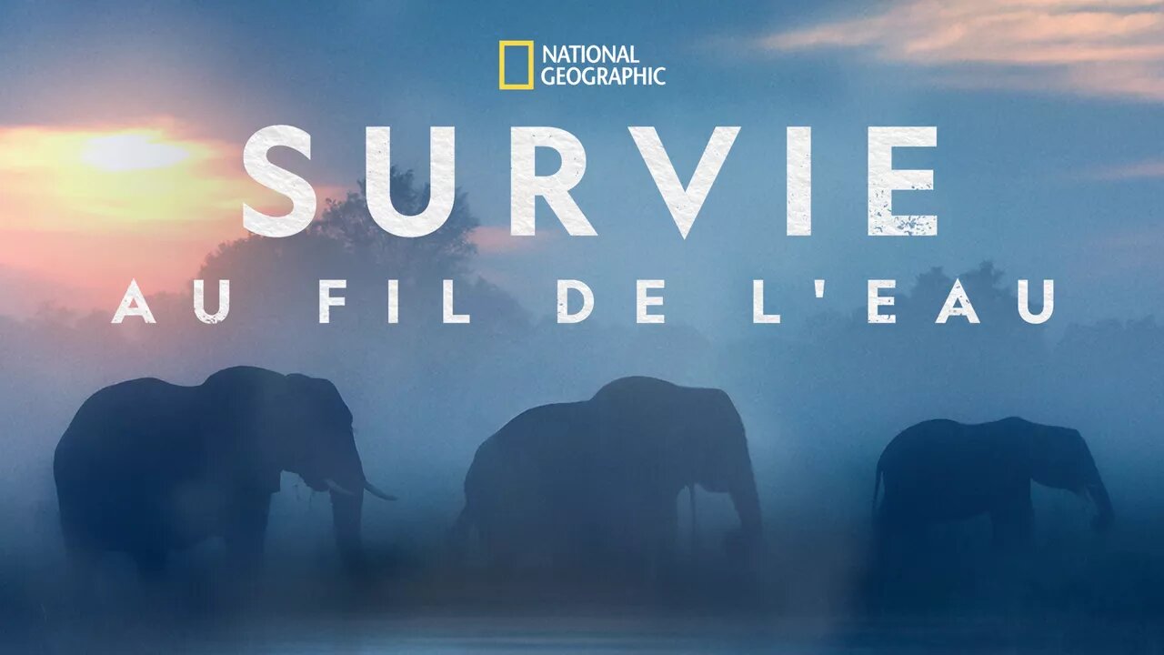 affiche poster survie fil eau flood nat geo