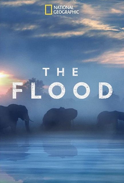 affiche poster survie fil eau flood nat geo