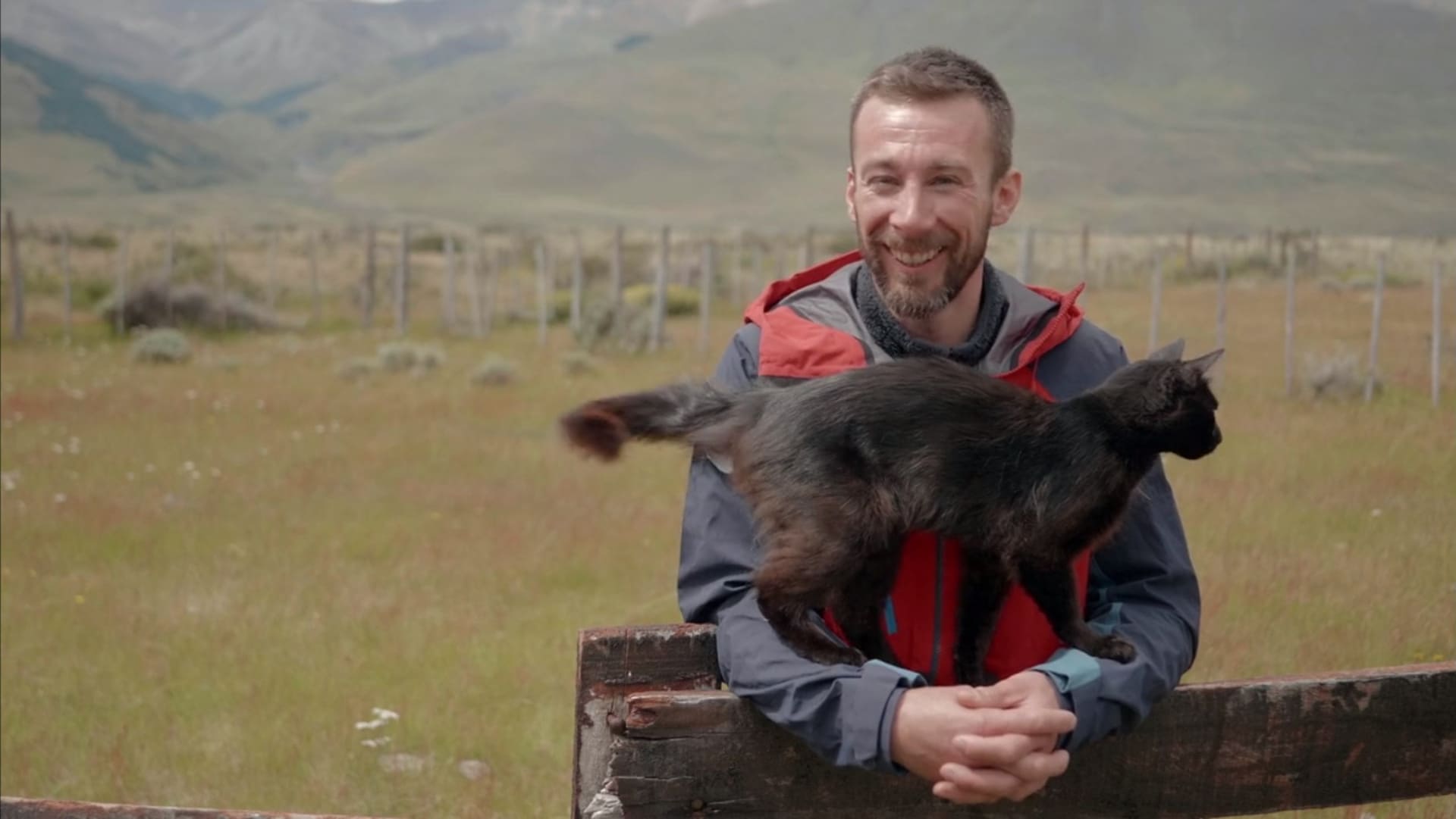 image ailes patagonie Patagonia Wings