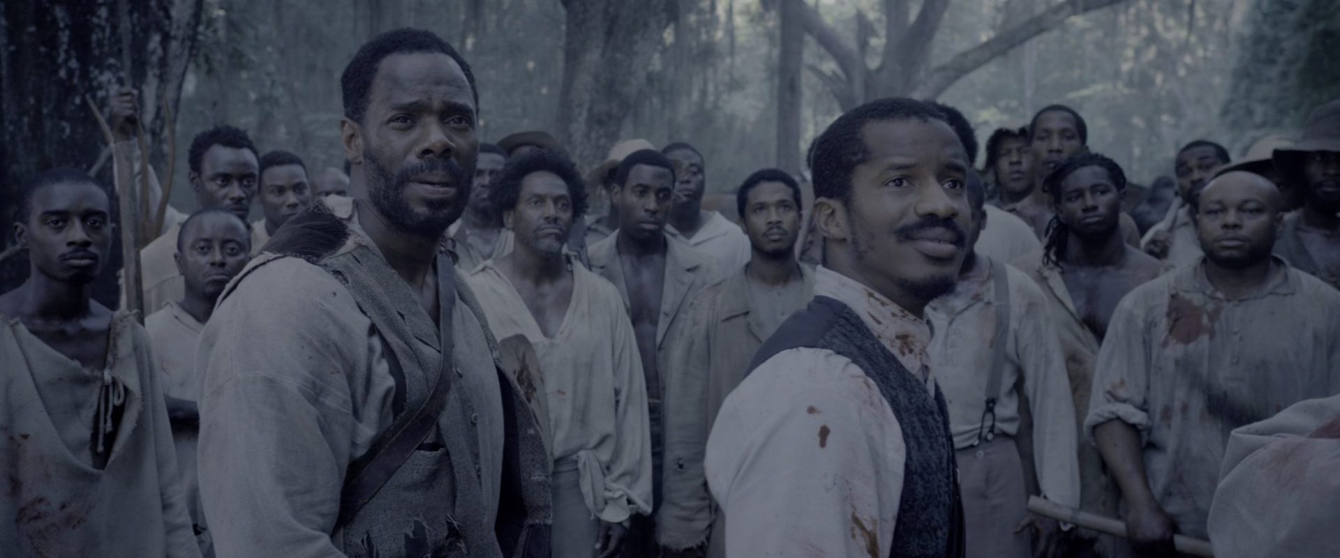 image birth nation