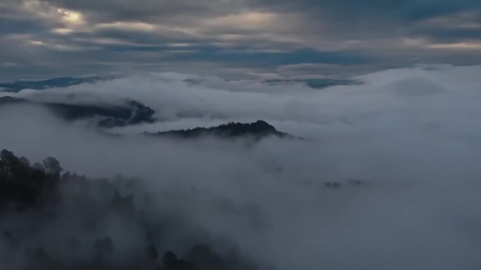 Destination Wild : Portugal - Photos et affiches. 12 image destination wild portugal nat geo