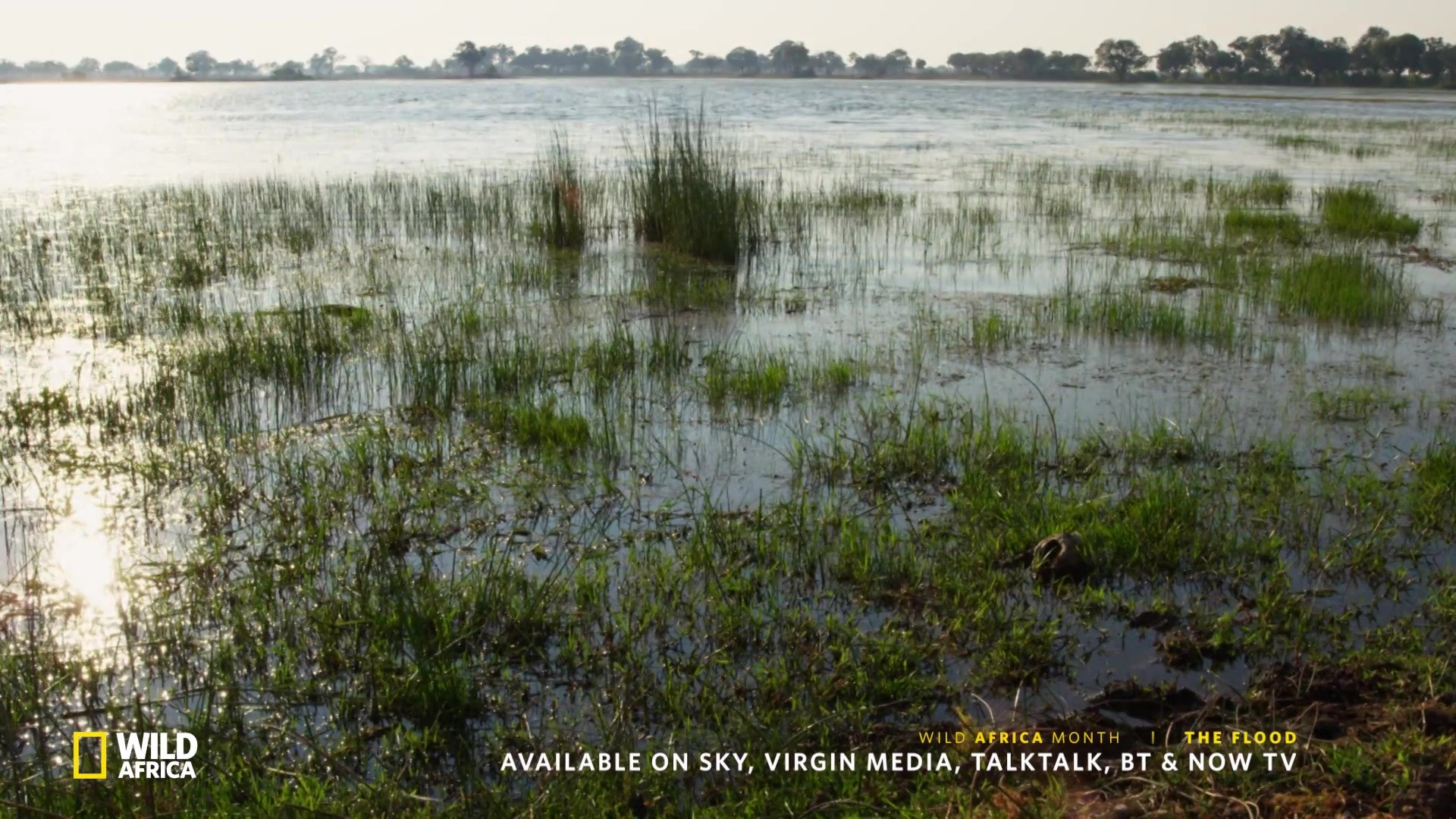 image survie fil eau flood nat geo