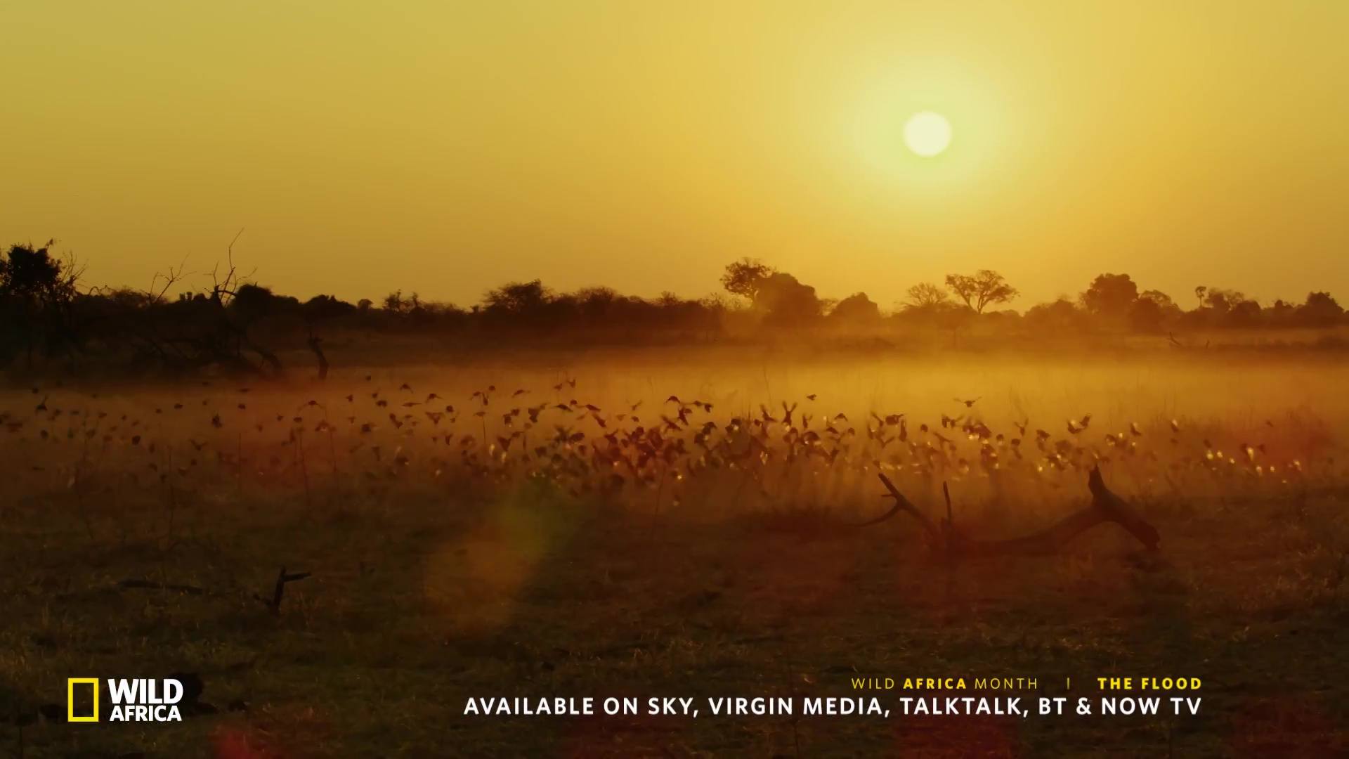 image survie fil eau flood nat geo