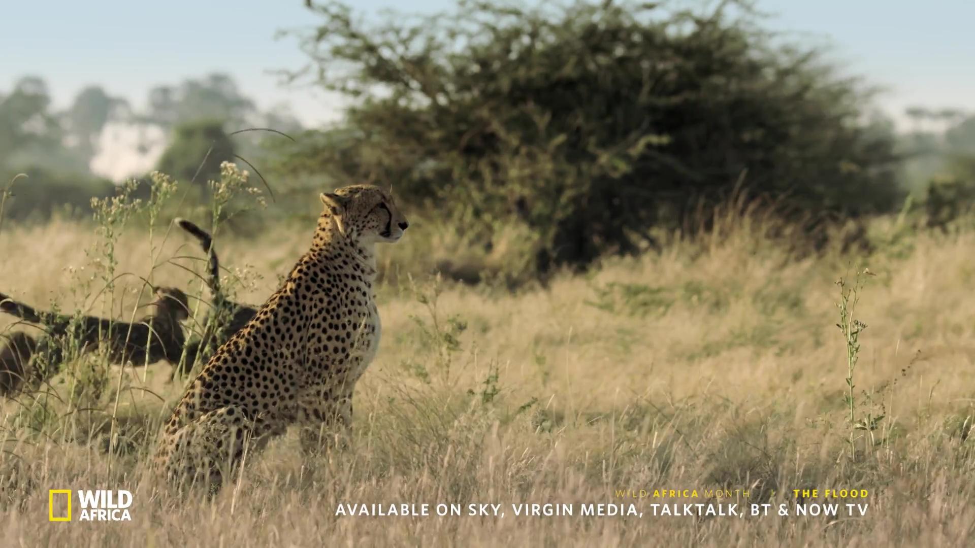 image survie fil eau flood nat geo