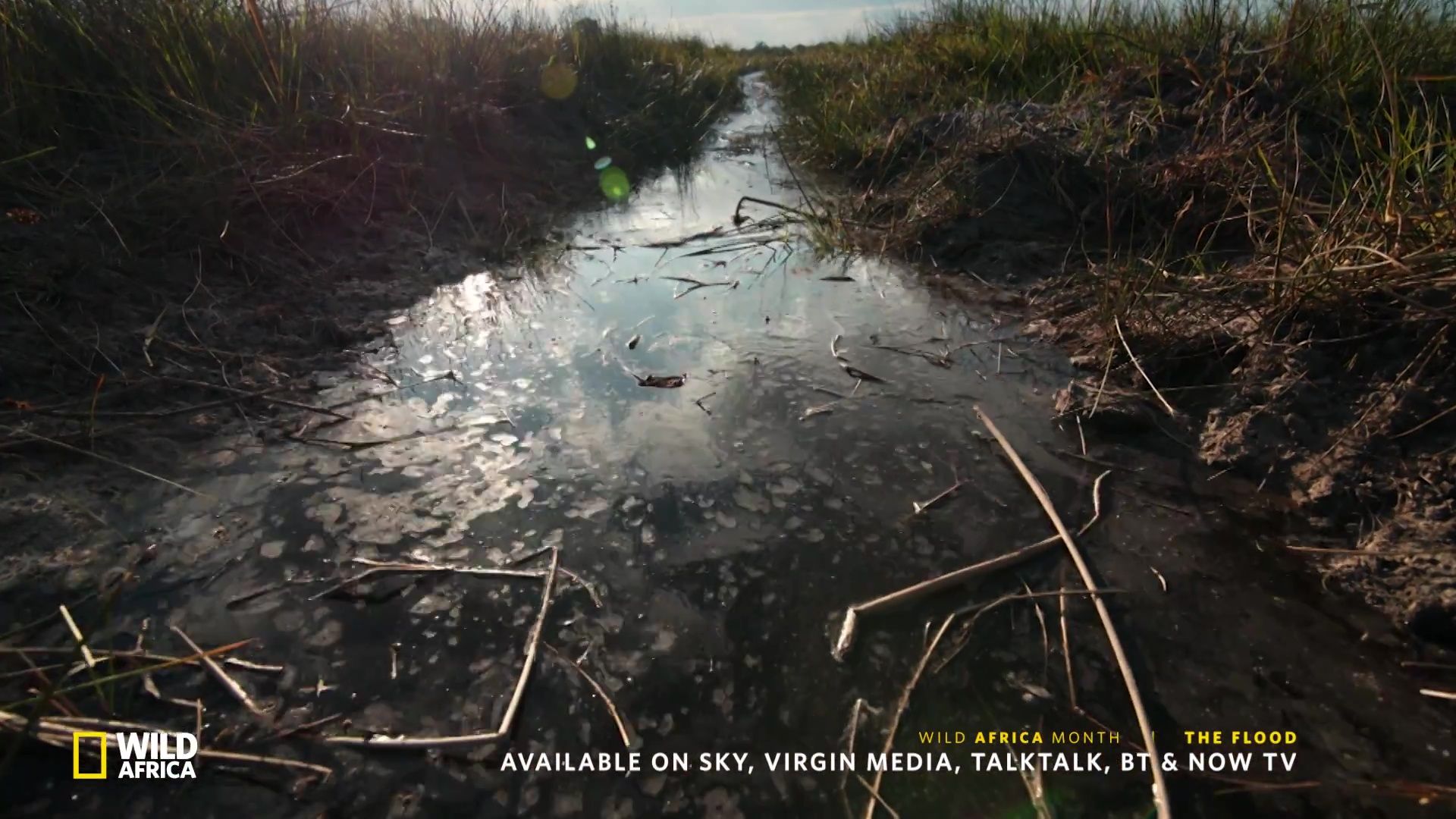 image survie fil eau flood nat geo