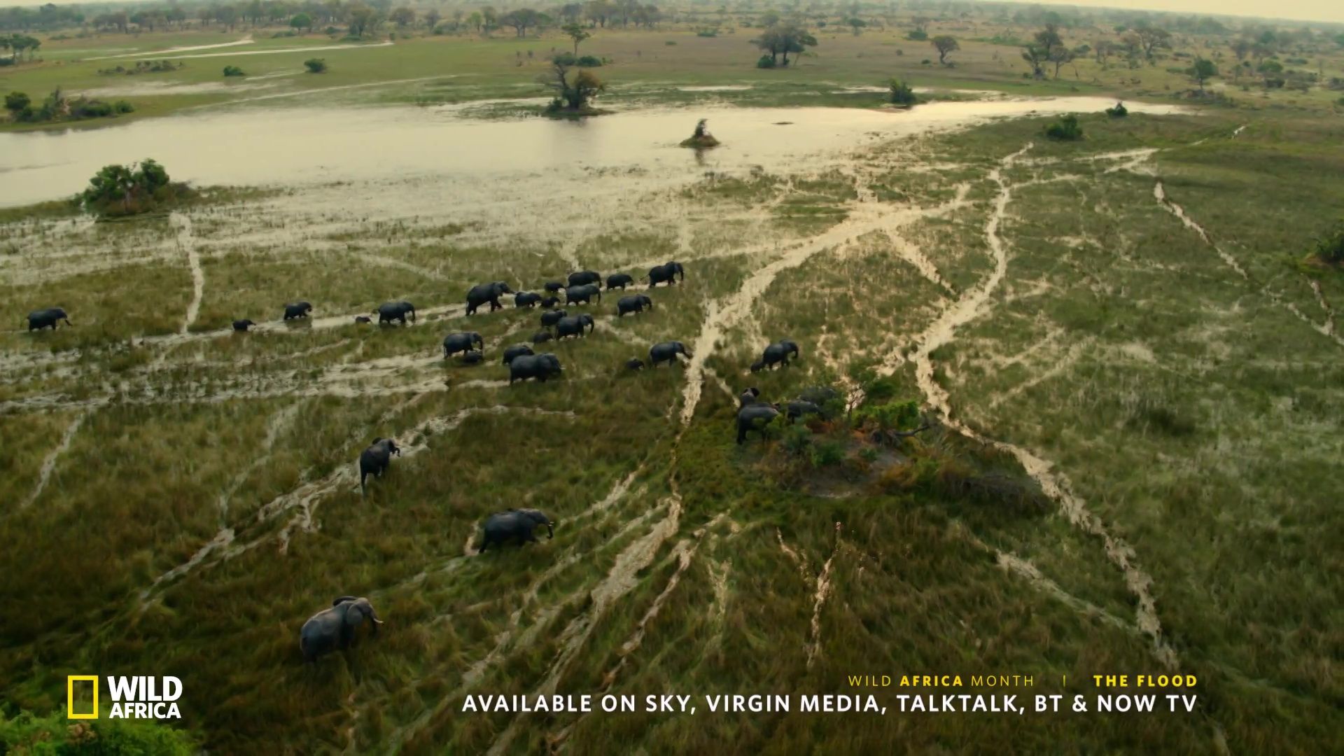 image survie fil eau flood nat geo