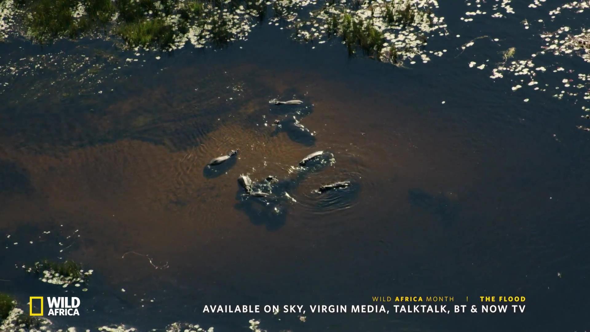 image survie fil eau flood nat geo