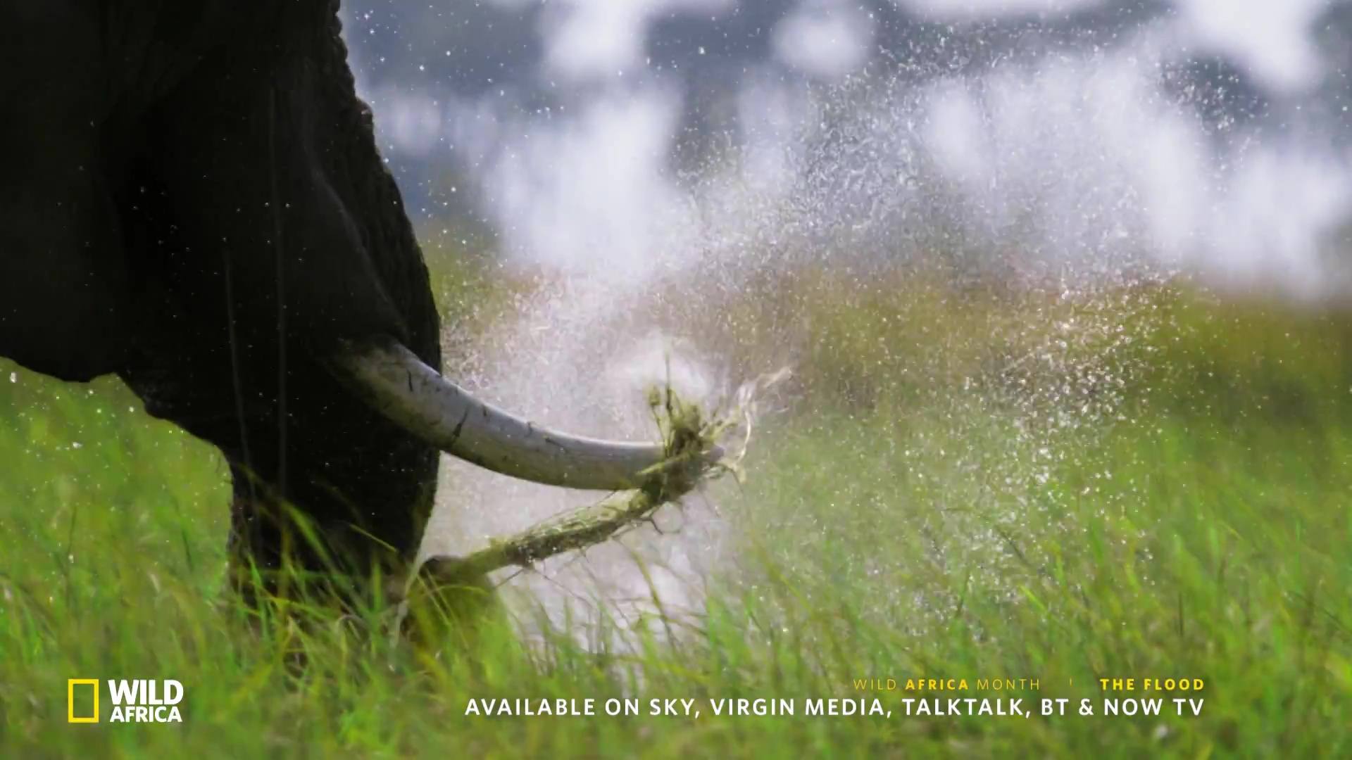 image survie fil eau flood nat geo