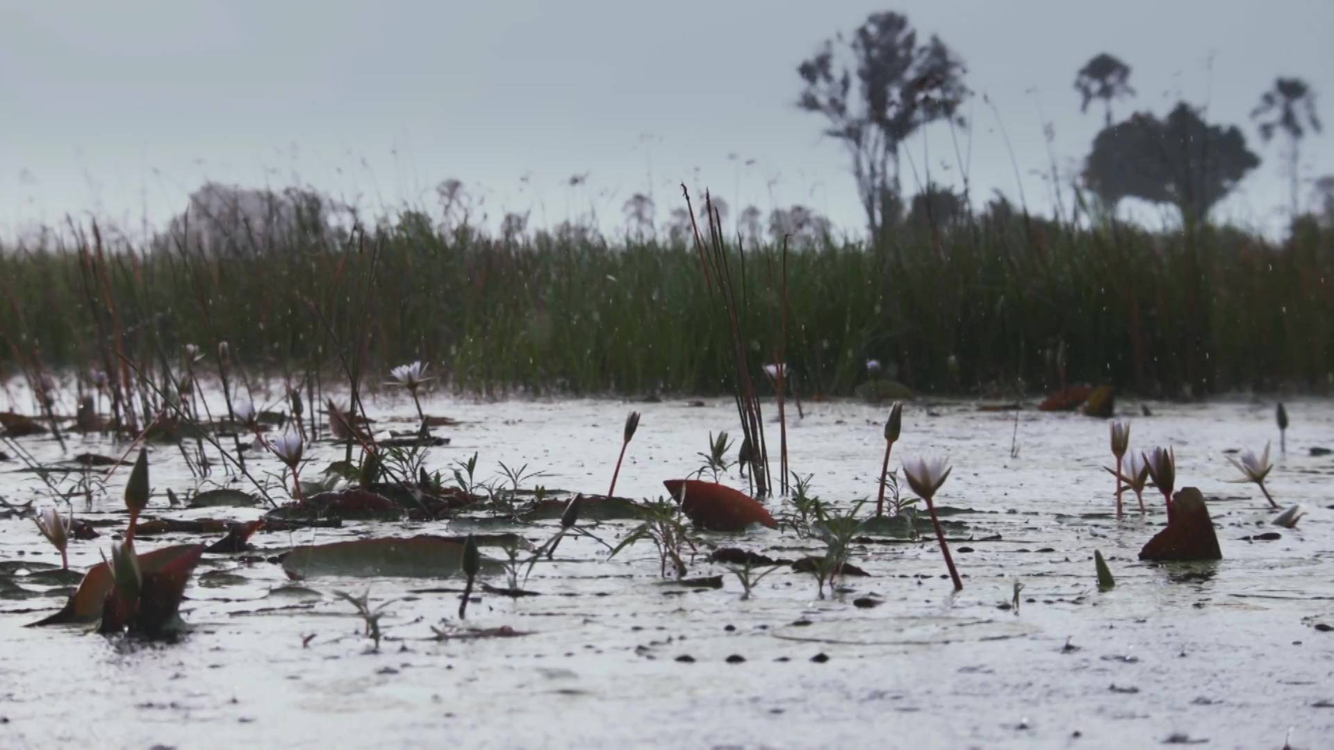 image survie fil eau flood nat geo