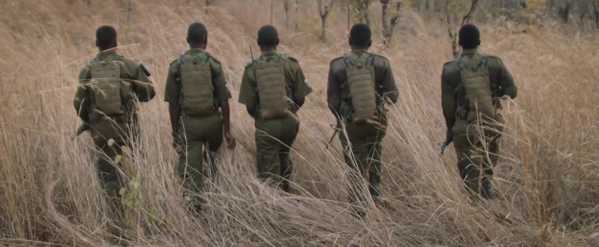 image akashinga guerre ivoire brave ones