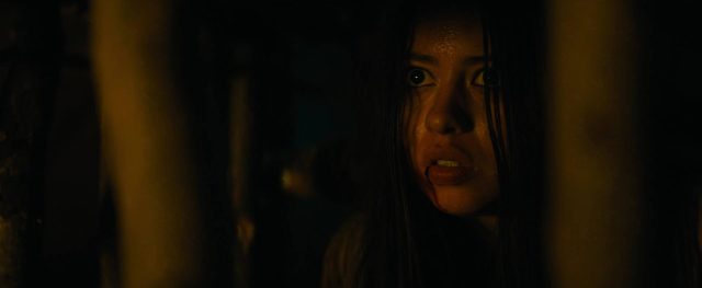 Prey - Photos et affiches. 23 image prey