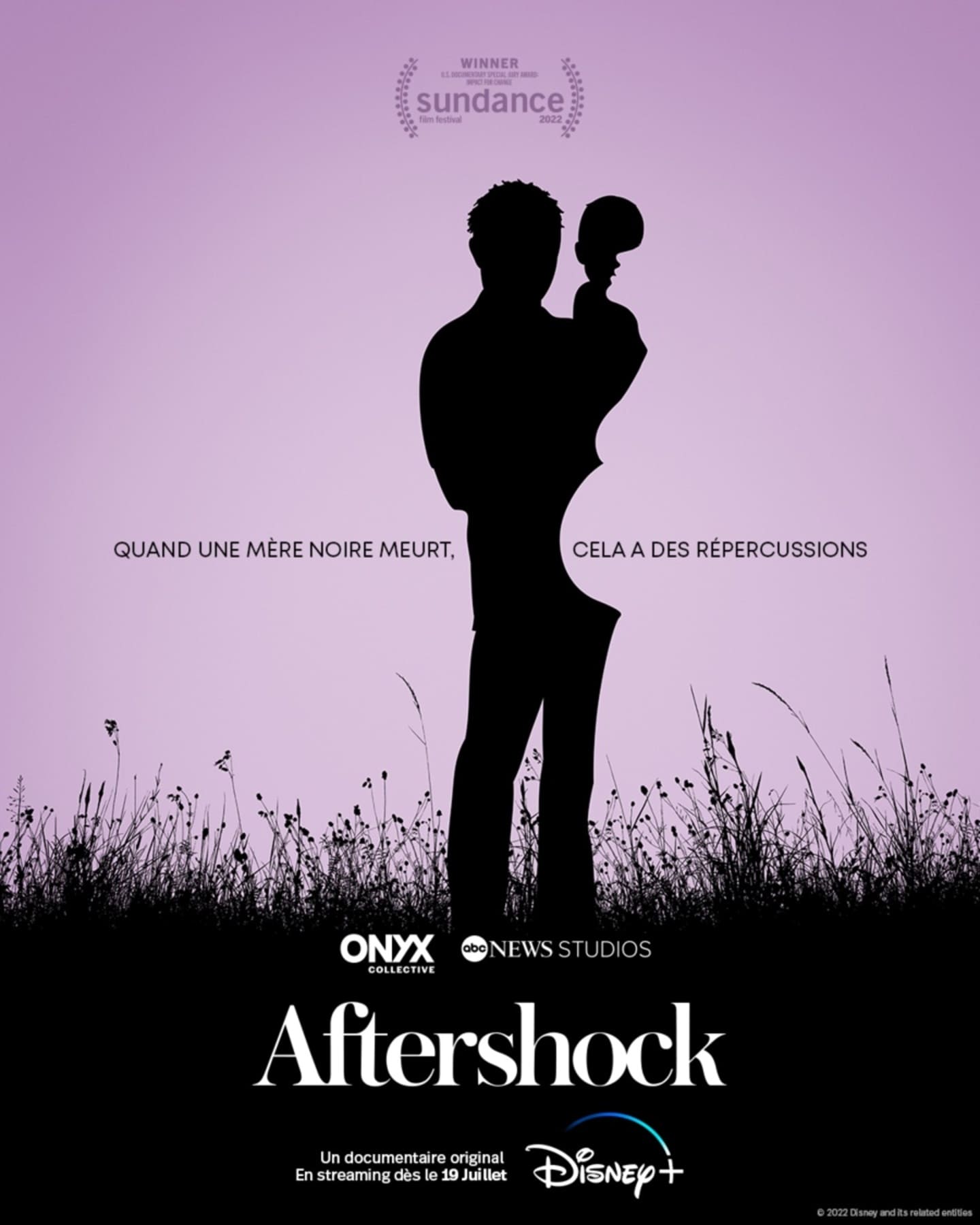 affiche poster aftershock