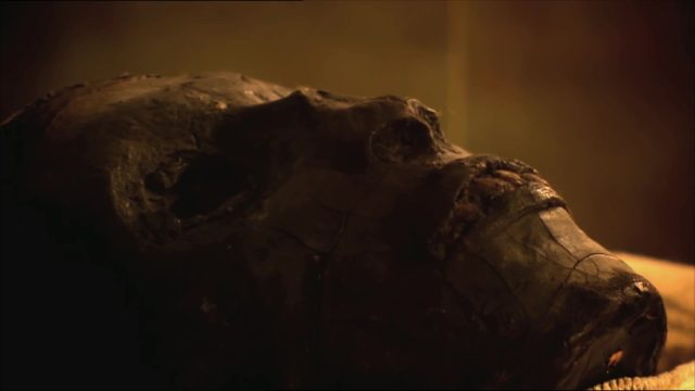 image ultimate tutankhamun nat geo