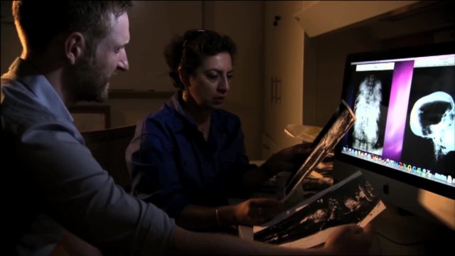 image ultimate tutankhamun nat geo