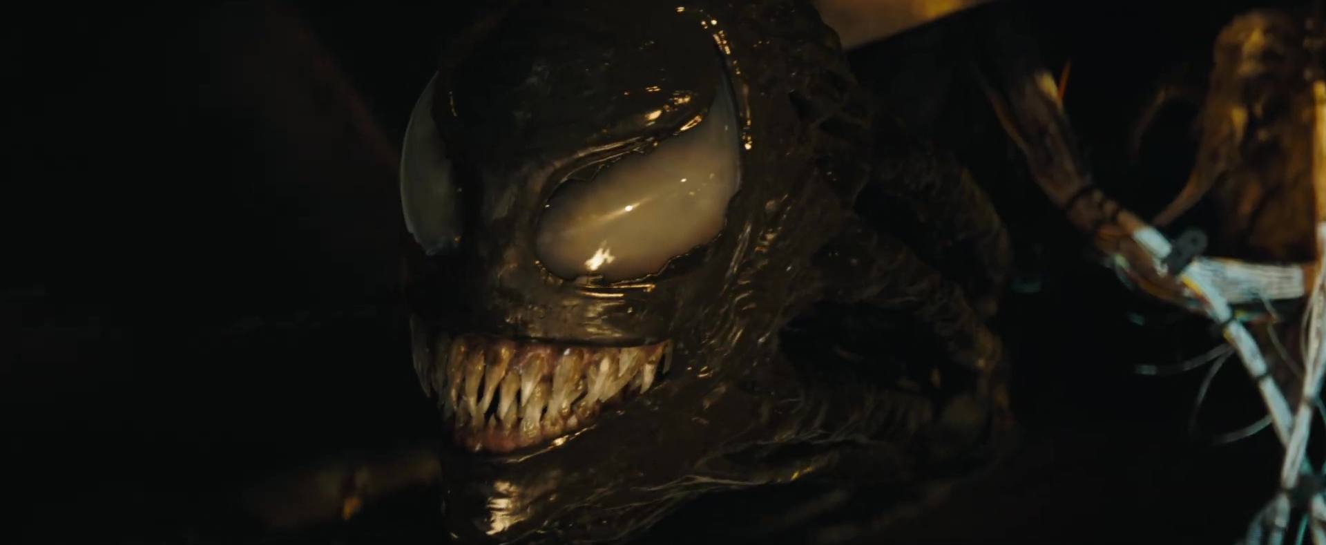 Venom : the last dance - Photos et affiches. 36 image venom last dance 3