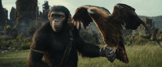 La planète des singes : le nouveau royaume. 3 Owen Teague et Freya Allan dans La planète des singes : le nouveau royaume Kingdom of the planet of the apes 2024