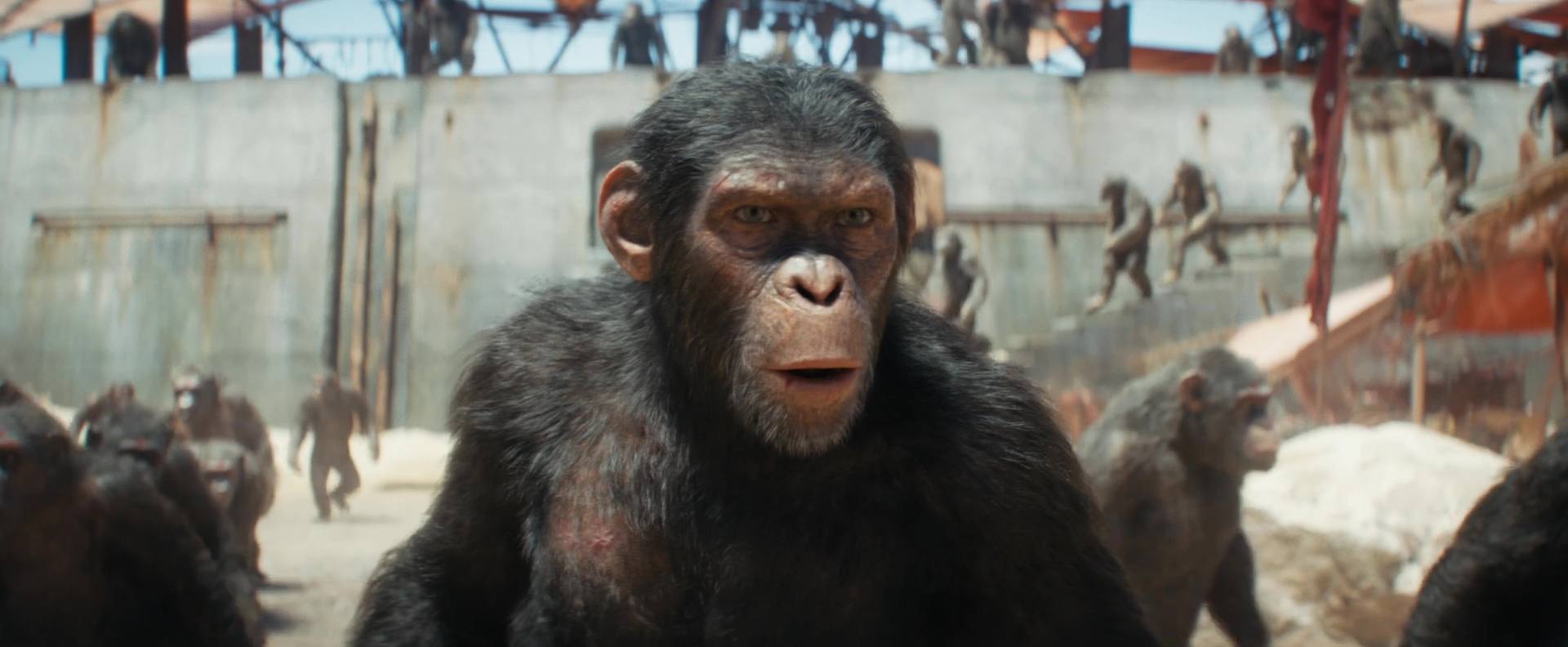 La planète des singes : le nouveau royaume - Photos et affiches. 21 image kingdom planet apes planete singes nouveau royaume