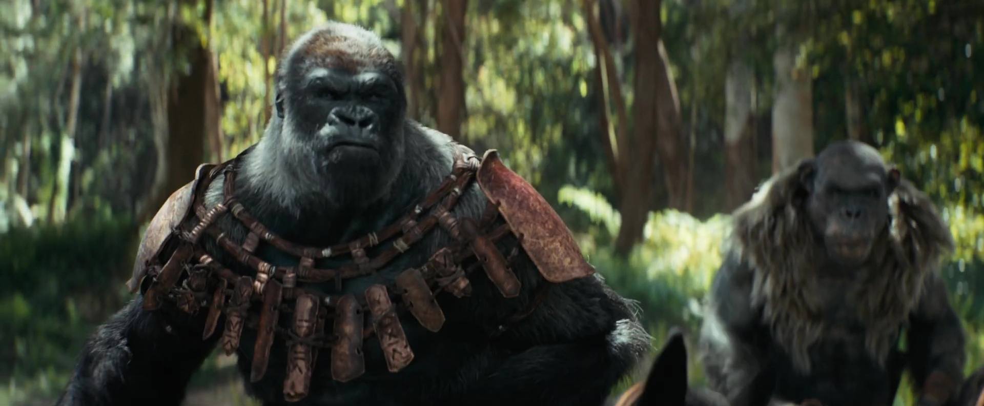 La planète des singes : le nouveau royaume - Photos et affiches. 23 image kingdom planet apes planete singes nouveau royaume